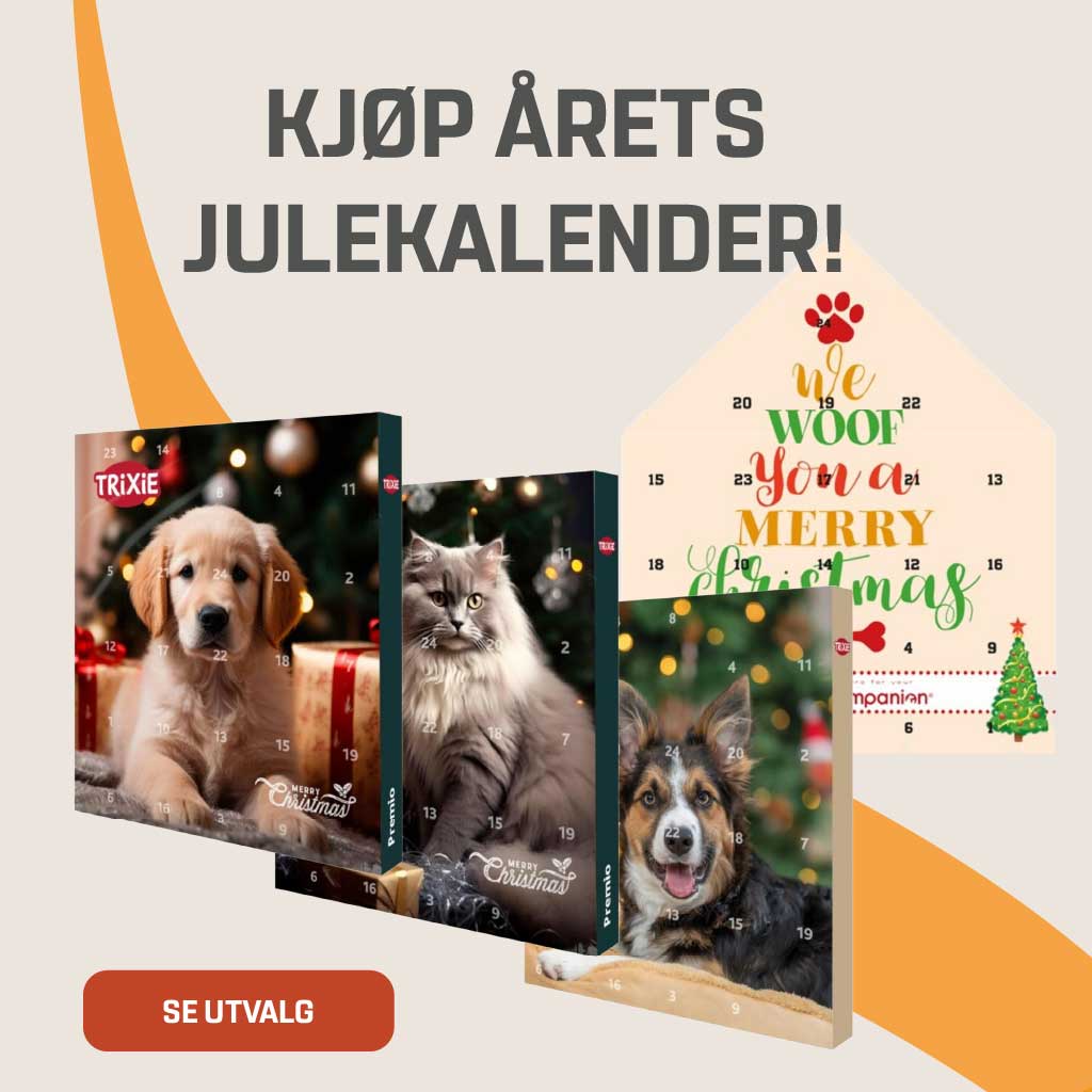 “julekalender”