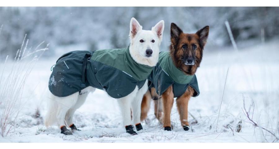 Vinterdekken til hund