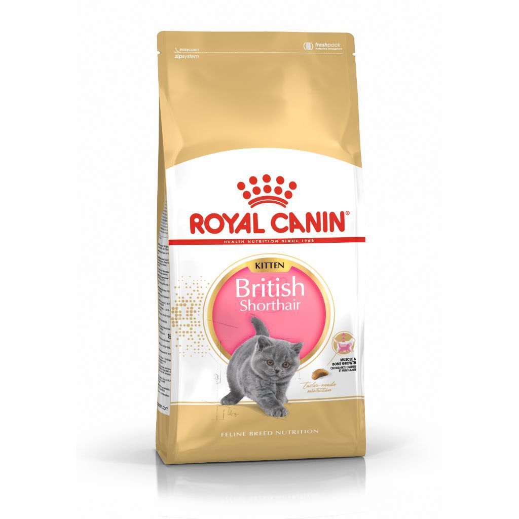 Royal Canin British Shorthair Kitten (2 kg)