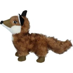 Wild Life Dog Fox