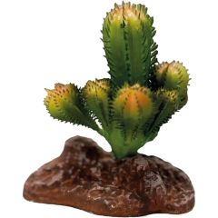 Repto Plant Cactus