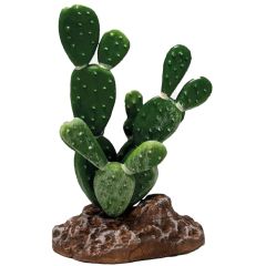 Repto Plant Cactus Opuntia