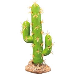 Repto Plant Cactus San Pedro