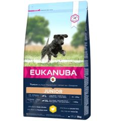 Eukanuba Developing Junior Large breed 3kg