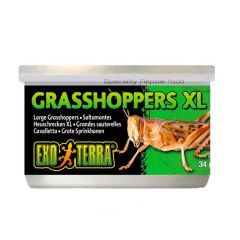 ExoTerra gresshopper XL 34g
