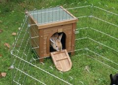 Hus kanin & smådyr