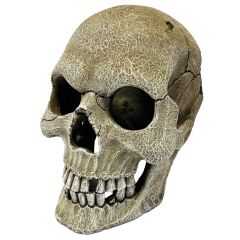 Repto Deco Skull XL