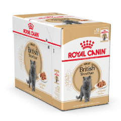 Royal Canin British Shorthair 12 x 85g