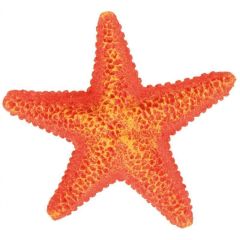 Trixie sjøstjerne 9cm
