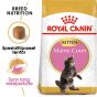Royal Canin Maine Coon Kitten Tørrfôr til kattunge 2kg