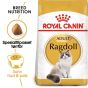 Royal Canin Ragdoll Adult Tørrfôr til katt 2kg