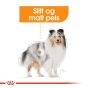 Royal Canin Mini Coat Care Adult 3kg