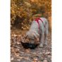 Non-Stop Trekking Bowl Sammenleggbar Hundeskål