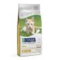 Bozita Cat Kitten Grain Free Chicken Tørrfôr 2kg