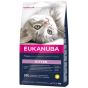 Eukanuba Healthy Kitten 10kg