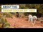 About the Swamp Cooler Zip™ Dog Cooling Vest
