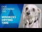 Dog Grooming Tips. Minimizes Drying Time