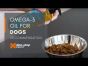 Non-stop dogwear White fish omega-3 fish oil for dogs