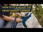 How to Fit & Adjust the Front Range® Harness