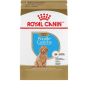Royal Canin Poodle Puppy 3 kg