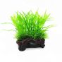 Aquatics Plante Gress