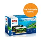 Juwel Akvarium Primo 70 LED - Sort