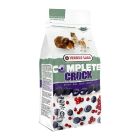 Versele-Laga Complete Crock Berries snacks 50g