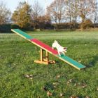 Agility Vippe For Hund 300 cm