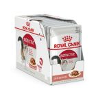 Royal Canin Adult Instinctive Gravy 12 x 85g