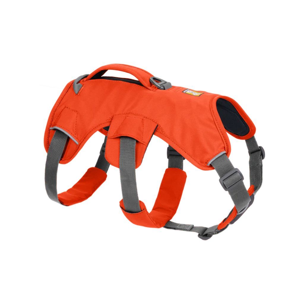 Ruffwear Web Master Dog Harness Blaze Orange L XL Petxl.no