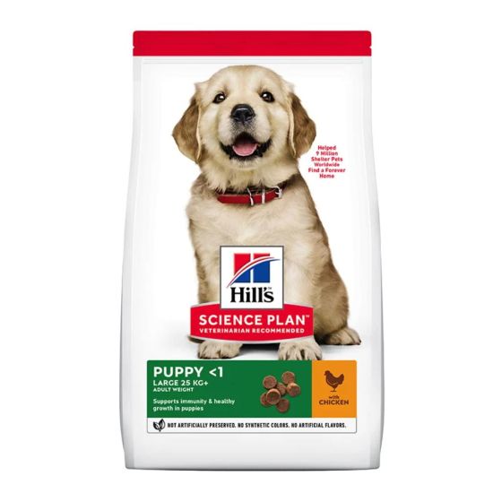 Hill's Science Plan Dog Puppy Healthy Development Large Breed with Chicken 14,5kg