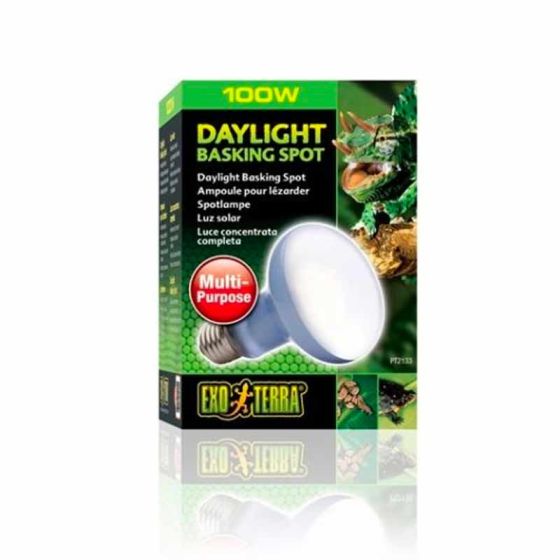 Exo Terra Daylight Basking Spot 100W m/UVA