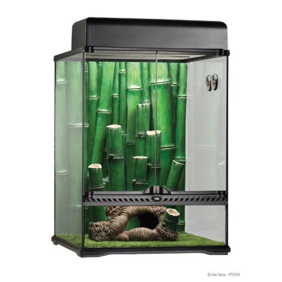 Exo Terra Bamboo forest terrarium Large 45x45x60cm