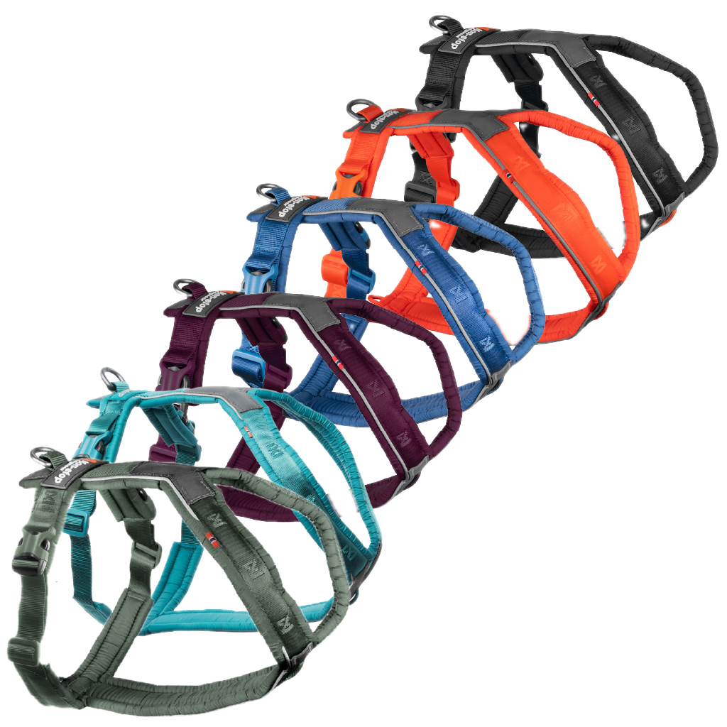 Non-Stop Dogwear Line Hundsele 5.0 Turkos (8)