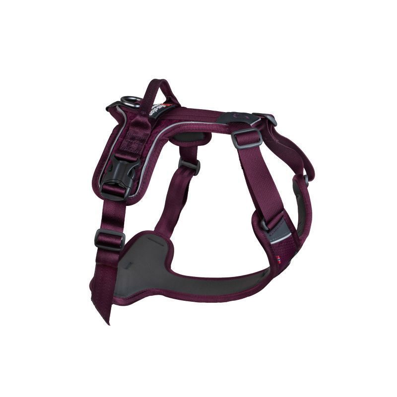 Ramble Harness Purple Hundesele L