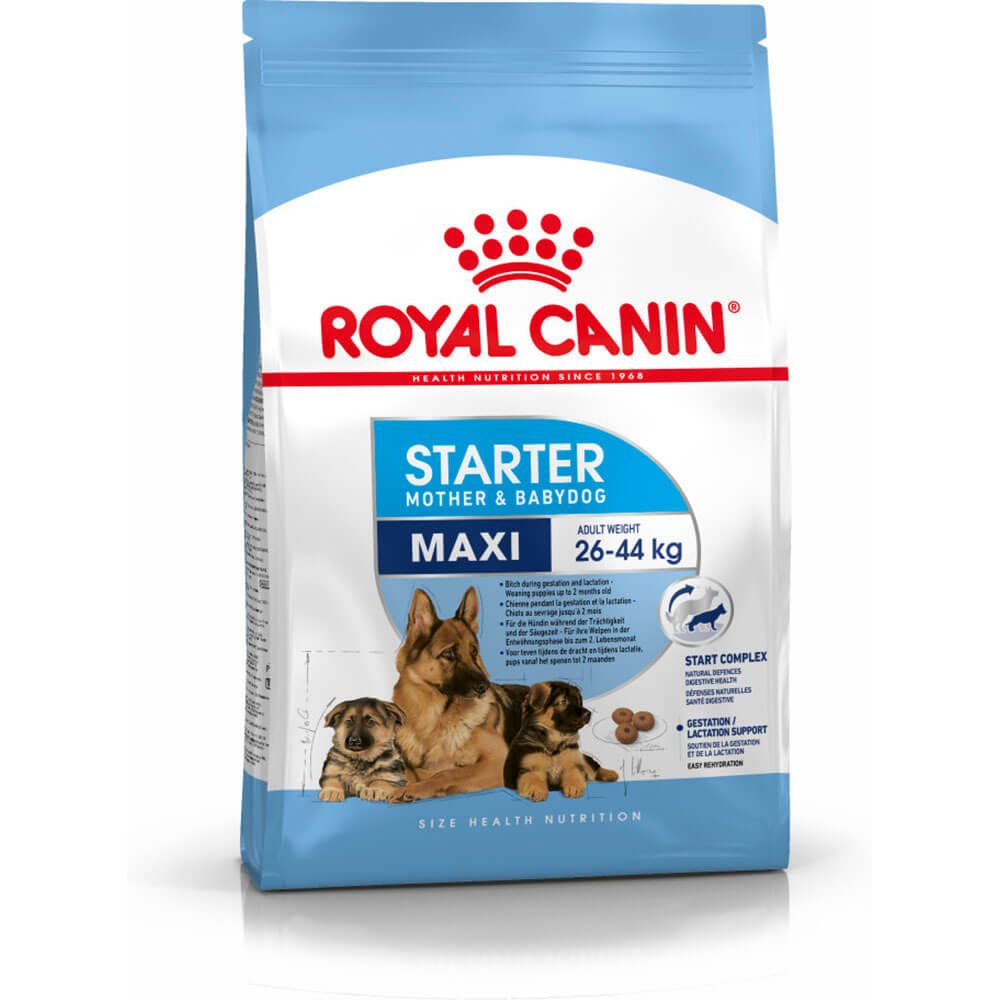 Royal Canin Maxi Starter (15 kg)