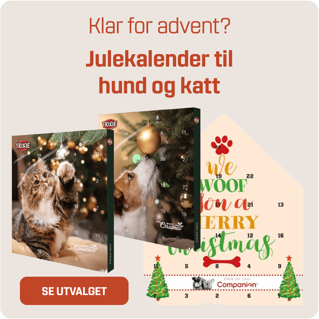 julekalender