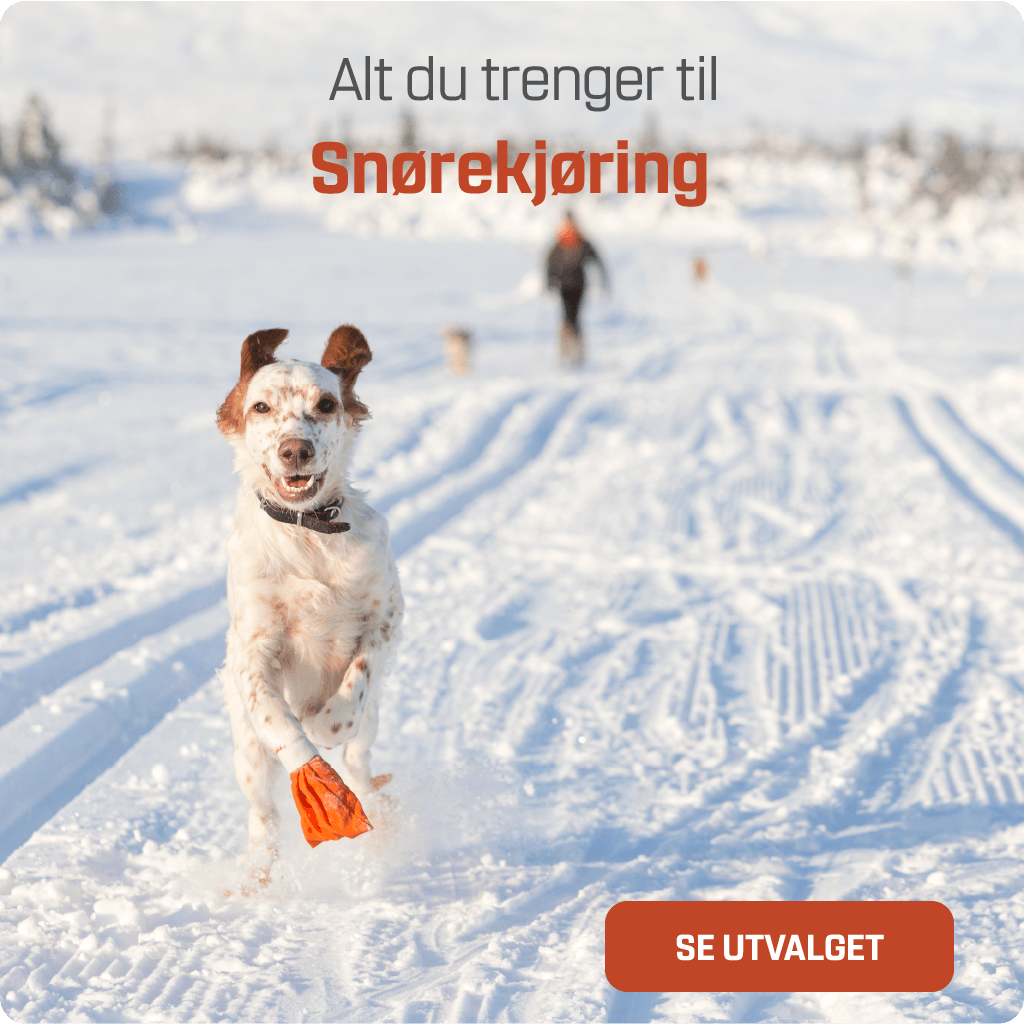 Snørekjøring