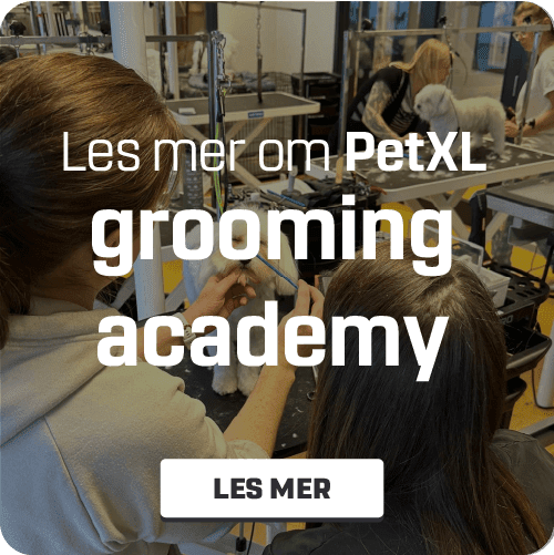 PetXL Grooming Academy