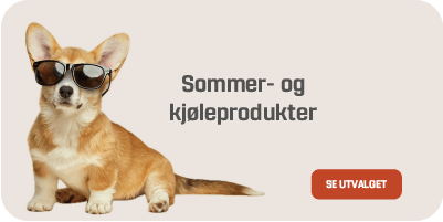 Sommerprodukter