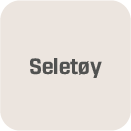 Seletøy