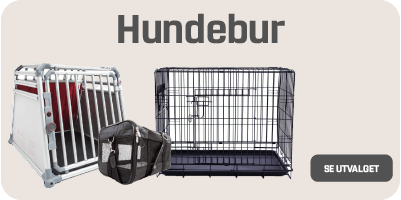 “hundebur"