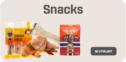 “hundesnacks”