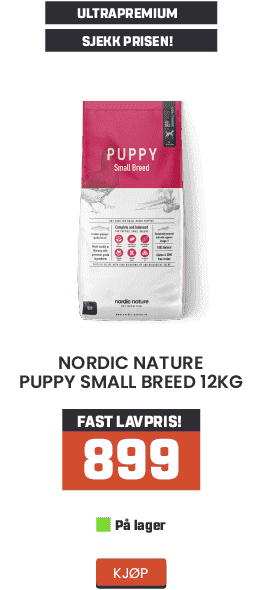 Nordic-nature-puppy-small-breed